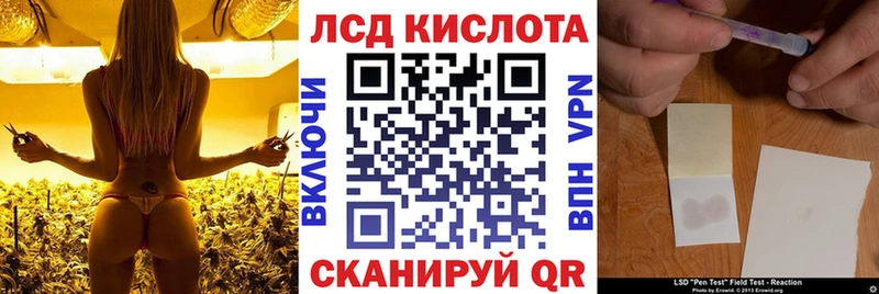 Наркотические марки 1,8мг  купить наркотики сайты  Лесозаводск 