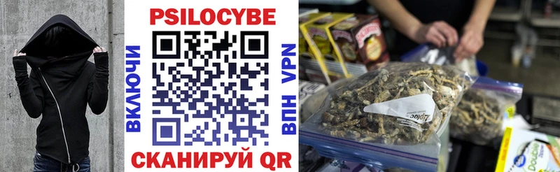 Псилоцибиновые грибы мицелий  наркошоп  Лесозаводск 