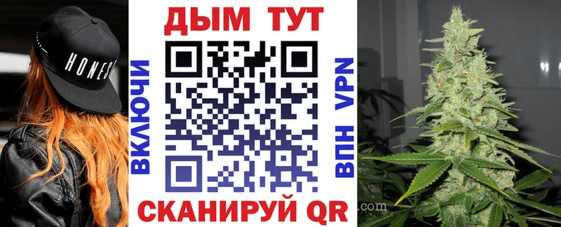 Канабис план  MEGA маркетплейс  Лесозаводск 